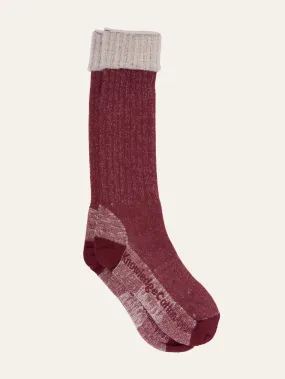 1 pack high terry wool sock - Rhubarb